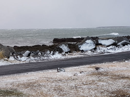 Sjóvarnargarðar 3 Sjóvarnargarðar 3