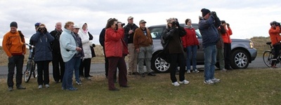 Fuglaskoðun 19. maí 2012 Fuglaskoðun 19. maí 2012