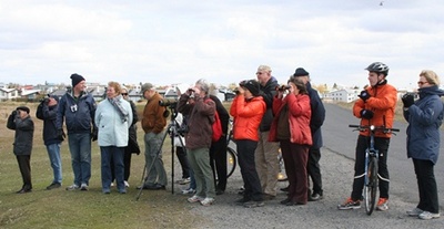 Fuglaskoðun 19. maí 2012 Fuglaskoðun 19. maí 2012