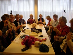 Félagsstarf aldraðra 2005 Félagsstarf aldraðra