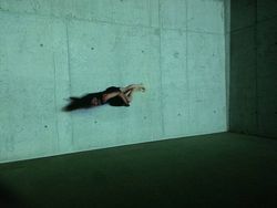 Menningarhátíð 2015 Menningarhátíð 2015