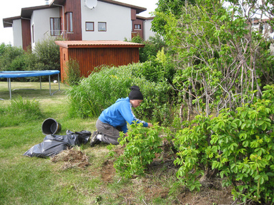 Vinnuskólanemendur í Bakkagarði Vinnuskólanemendur í Bakkagarði