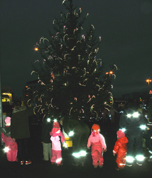 Jólagréið við Suðurströnd