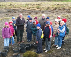 Gróðursetning við Bolöldu