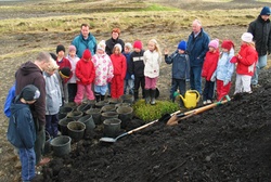 Gróðursetning við Bolöldu