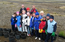 Gróðursetning við Bolöldu