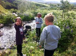 Esjuferð barna á leikjanmámskeiði 2012