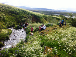 Esjuferð barna á leikjanmámskeiði 2012
