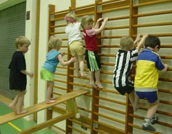 Íþróttahátíð leikskólabarna 2005