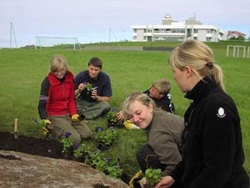 Flokkstjórar við störf