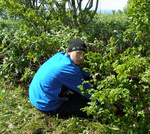 Vinnuskóli Seltjarnarness - við hreinsun