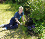 Vinnuskóli Seltjarnarness - við hreinsun