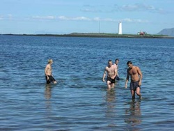 Sjósund við Seltjörn