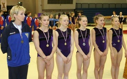 Fimleikadeild Gróttu - Meistaraflokkur