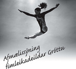Afmælissýning fimleikadeildar Gróttu - plakat