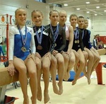 Fimleikastúlkur 2004