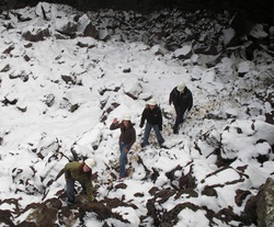 Unglingarí Víðigemlir