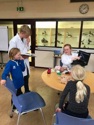 Börn á leikjanámskeiði Börn á leikjanámskeiði