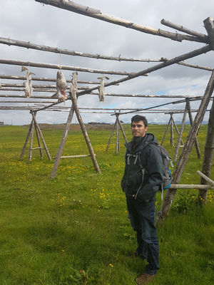 Við trönurnar Við trönurnar