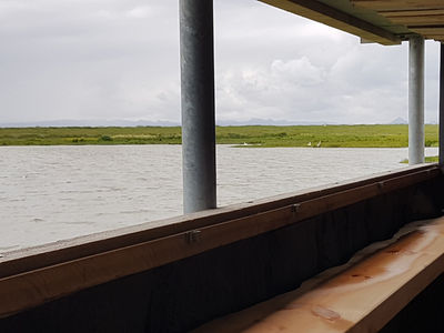 Fuglaskoðunarhús við Bakkatjörn