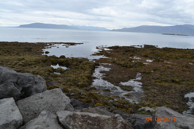 Nýjabæjarvör Nýjabæjarvör