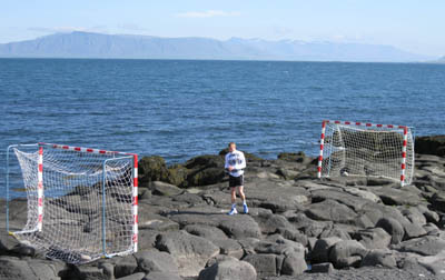 Guðjón Valur Sigurðsson