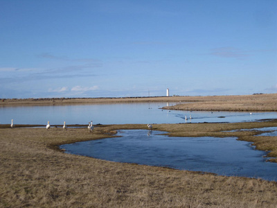 Bakkatjörn, mars 2012