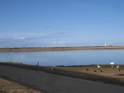 Bakkatjörn, mars 2012