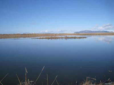 Bakkatjörn, mars 2012