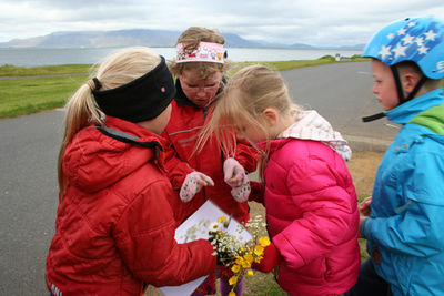 Jónsmessuhátíð 2013