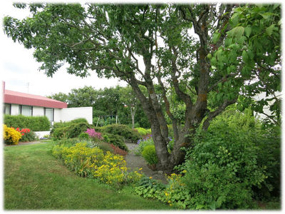 Lindarbraut 20 Lindarbraut 20