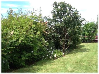 Gárður ársins 2016 - Melabraut 22