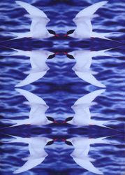 Mynd Ólafs Gunnars Sæmundssonar á höfuðstrokki