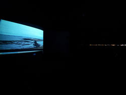 Vídeóverk um flóð og fjöru Gróttu