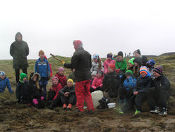 Gróðursetning í Bolöldu