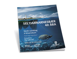 Afmælisrit Afmælisrit