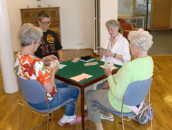 Félagsstarf aldraðra - félagsvist