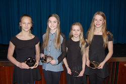 Bikarmeistarar í fimleikum