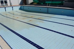 Sundlaug Seltjarnarness