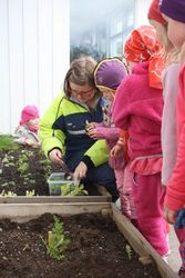 Svipmyndur af leikskólastarfi