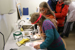 Gróttudagur 2014 Gróttudagur 2014