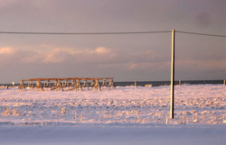 Vetraríki á Seltjarnarnesi
