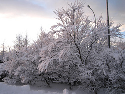 Vetraríki á Seltjarnarnesi