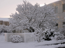 Vetraríki á Seltjarnarnesi