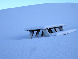 Vetraríki á Seltjarnarnesi