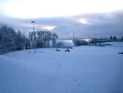 Vetraríki á Seltjarnarnesi