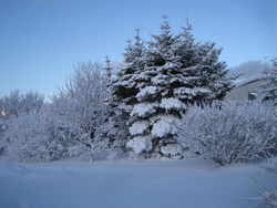 Vetraríki á Seltjarnarnesi