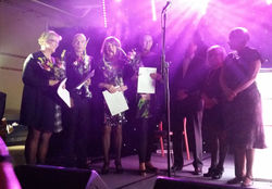 Starfsviðurkenningar 2014