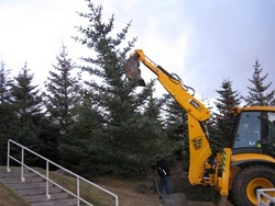 Jólatré í Plútóbrekku