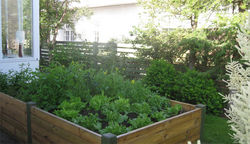 Umhverfisviðurkenning 2013